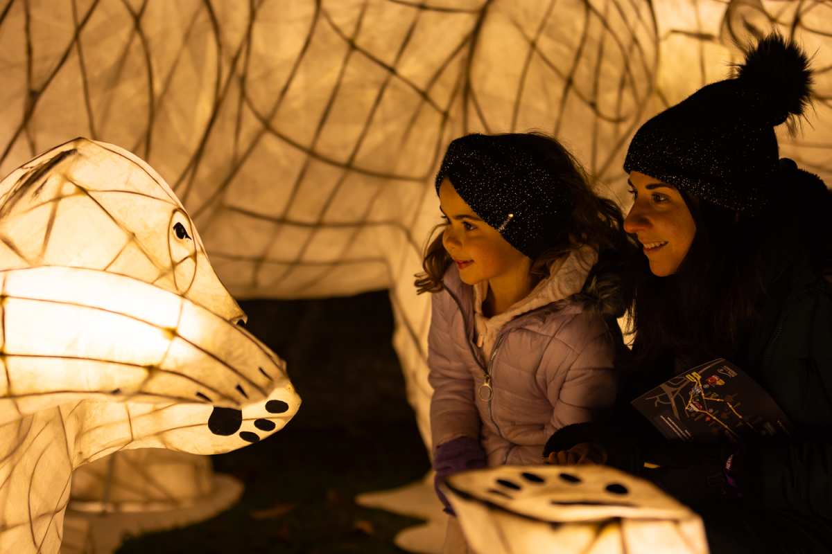 A mother and her daughter admiring a lit up polar bear installation.