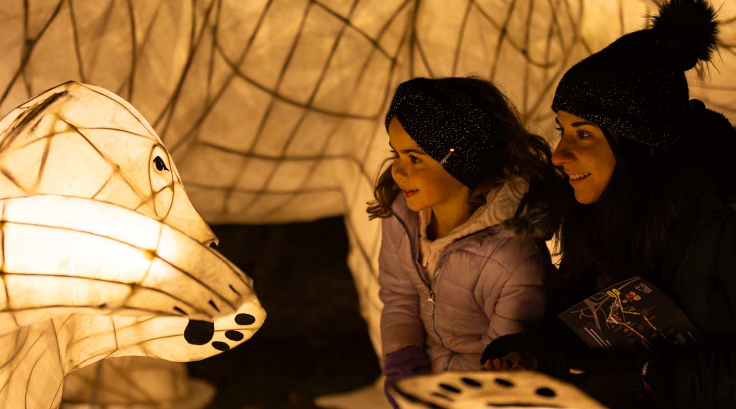 A mother and her daughter admiring a lit up polar bear installation.