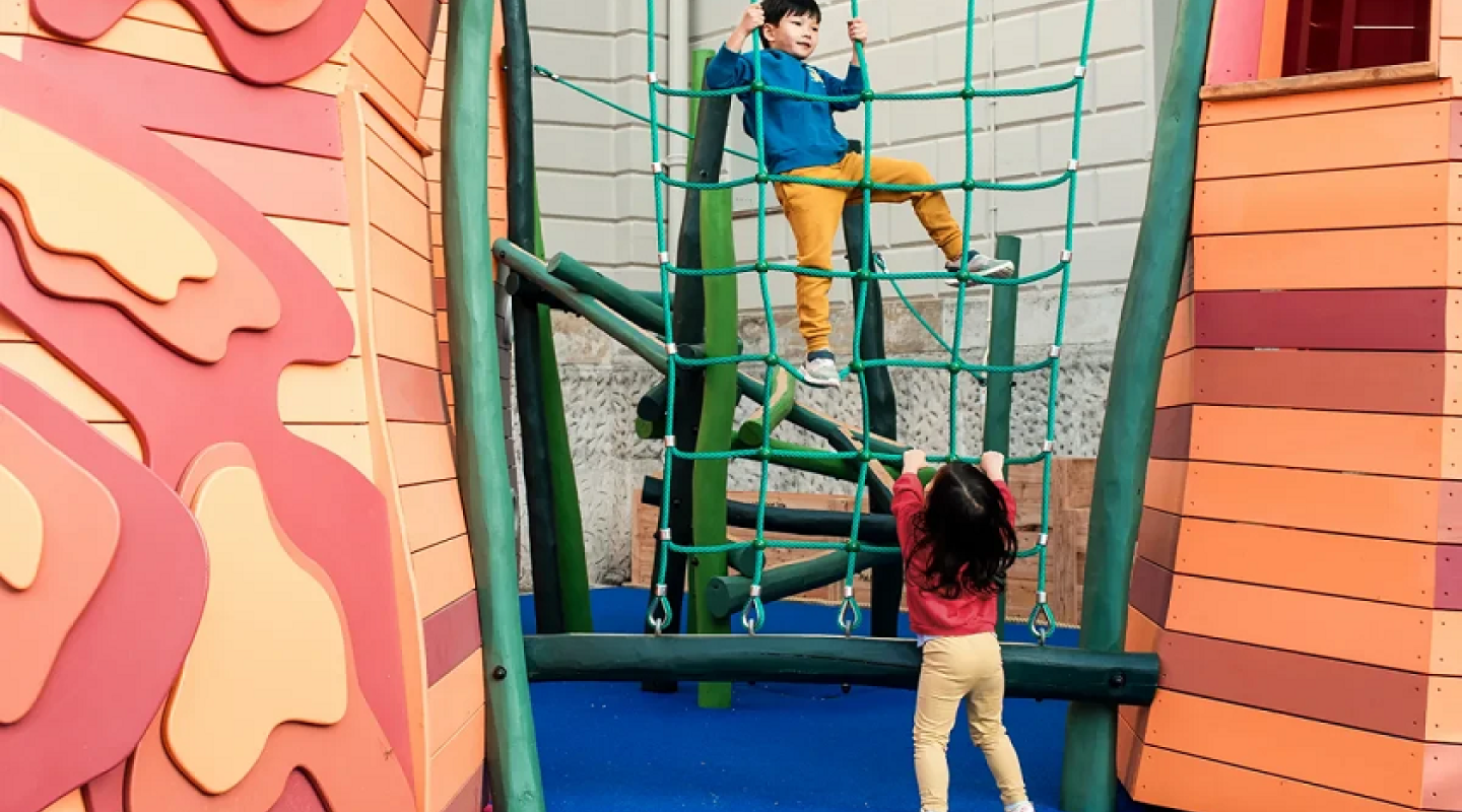 two children climbing on a rope ladder
